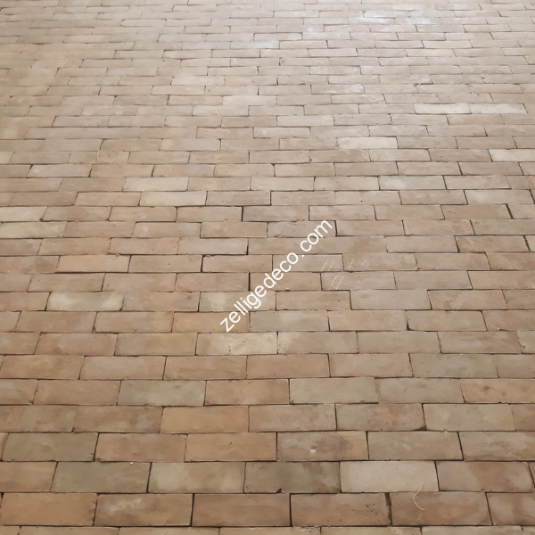 Reference S008