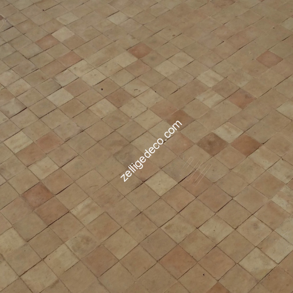 Reference S007
